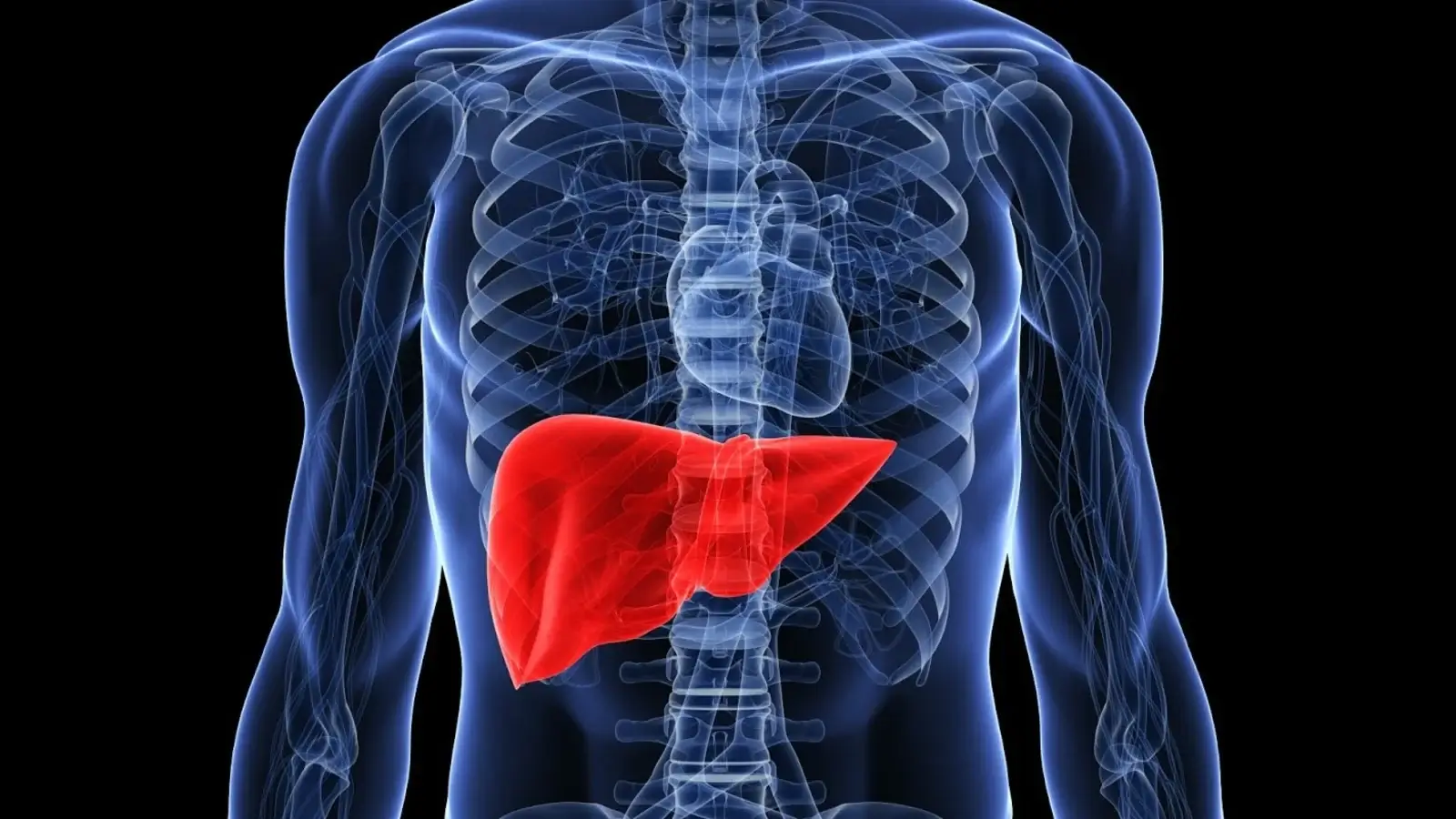 know factors responsible for failure of the liver and how to overcome them