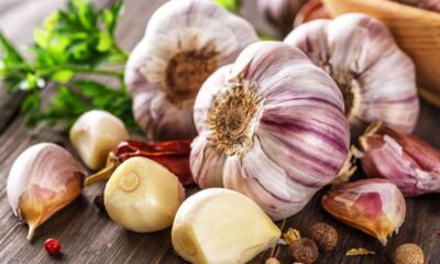 Know benefits and side effects of eating garlic