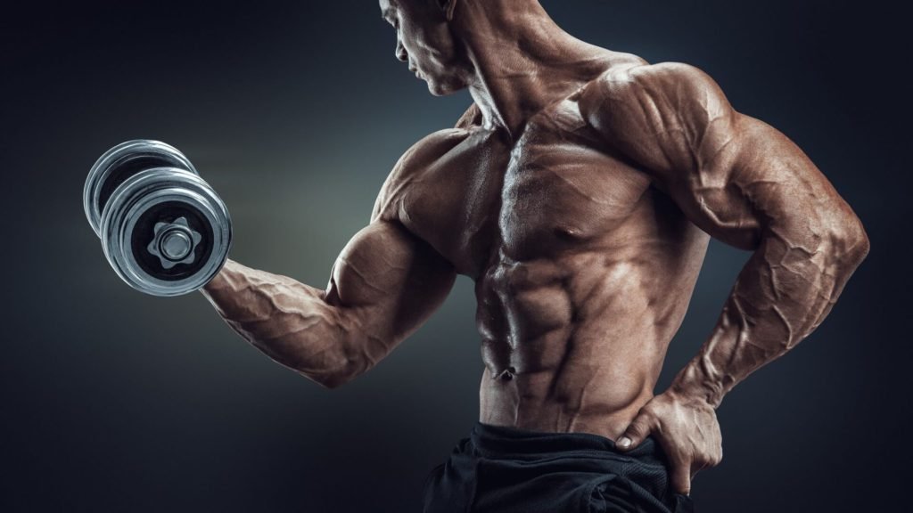 How To Build Your Own Workout Routine? How To Build Your Own Workout Routine 2