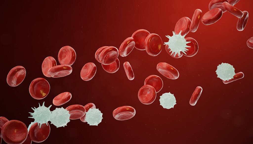 “Comprehensive Guide for Patients: Understanding Blood Cancer and Its Implications” 6 symptoms appear at the onset of blood cancer 1