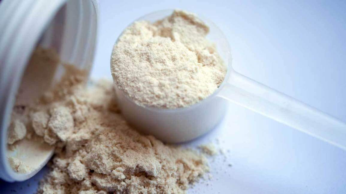Know the special things related to protein powder