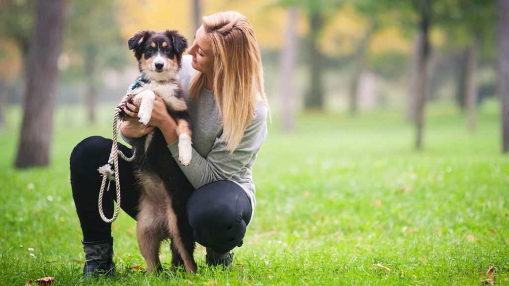 Only 10 min playing with pets can decrease your stress only 10 min playing with pets can decrease your stress