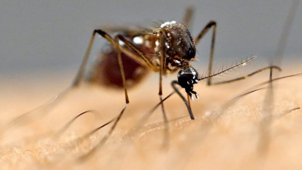 Learn about the 5 diseases that occur in the rain, these are the measures to avoid