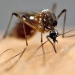 Learn about the 5 diseases that occur in the rain, these are the measures to avoid