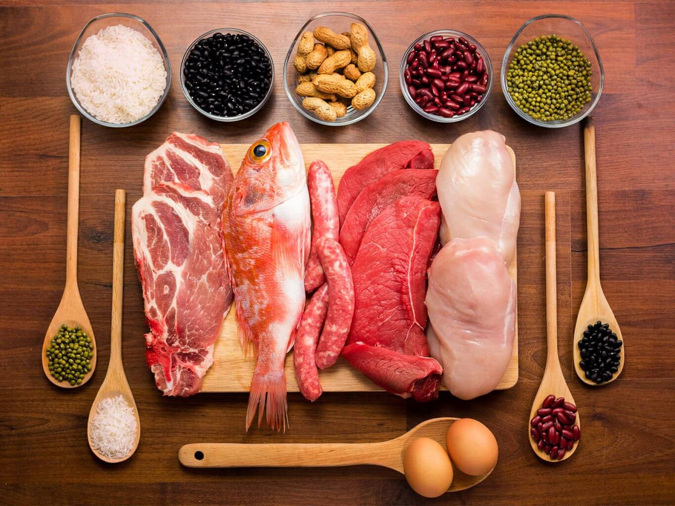 How Much Protein You Need to get muscular body?