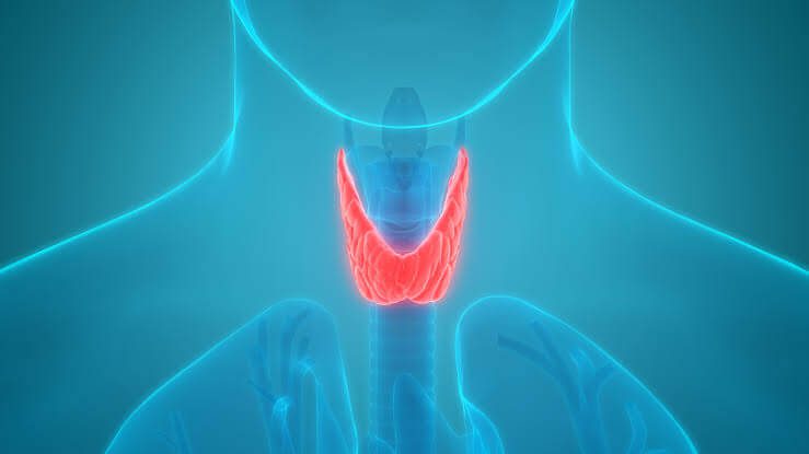 Know about TSH test if you have thyroid