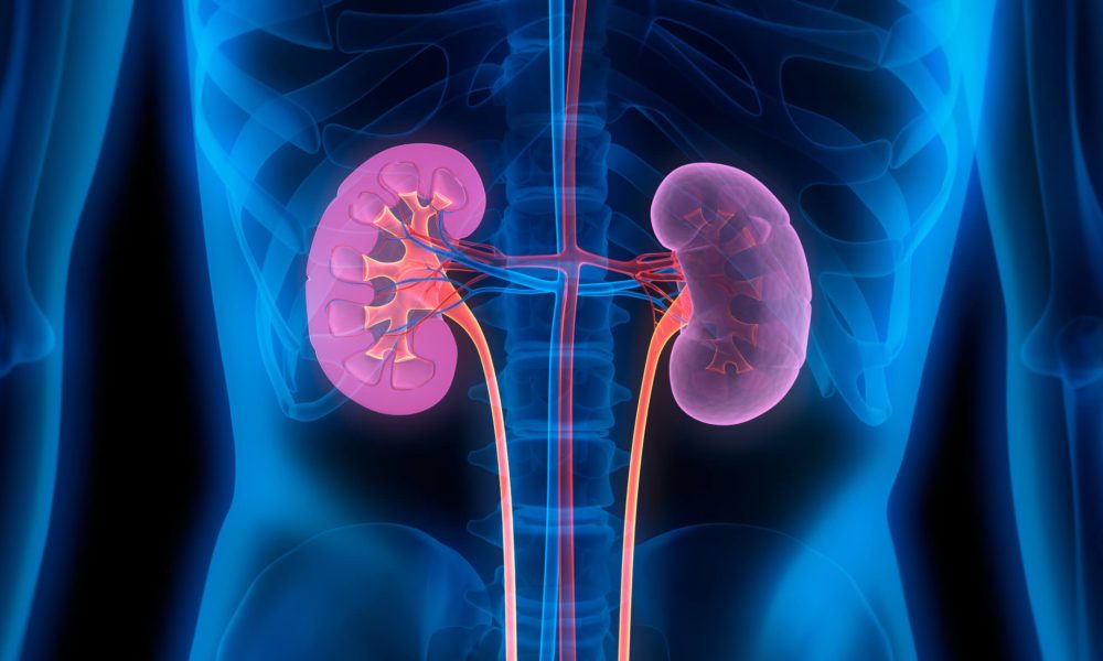 These 11 symptoms can be signs of kidney failure!