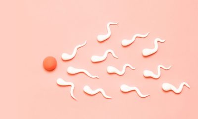 Food and fertility