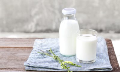 Know Best 5 alternative of milk