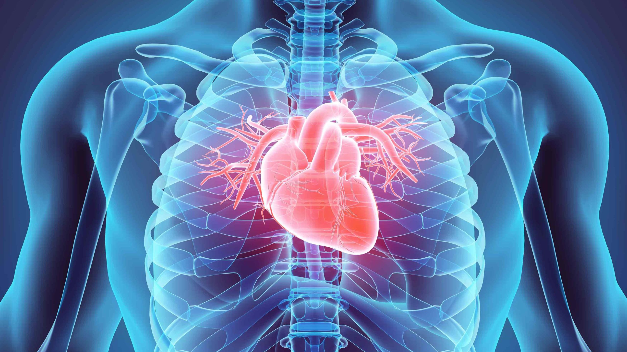 These home remedies reduce the problem of heart blockage