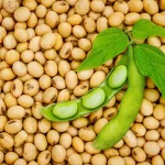 Soybeans A Nutrient-Rich Powerhouse in the World of Plant-Based Nutrition