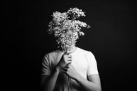 hiding behind baby s breath 1400x933 1 1100x733 1