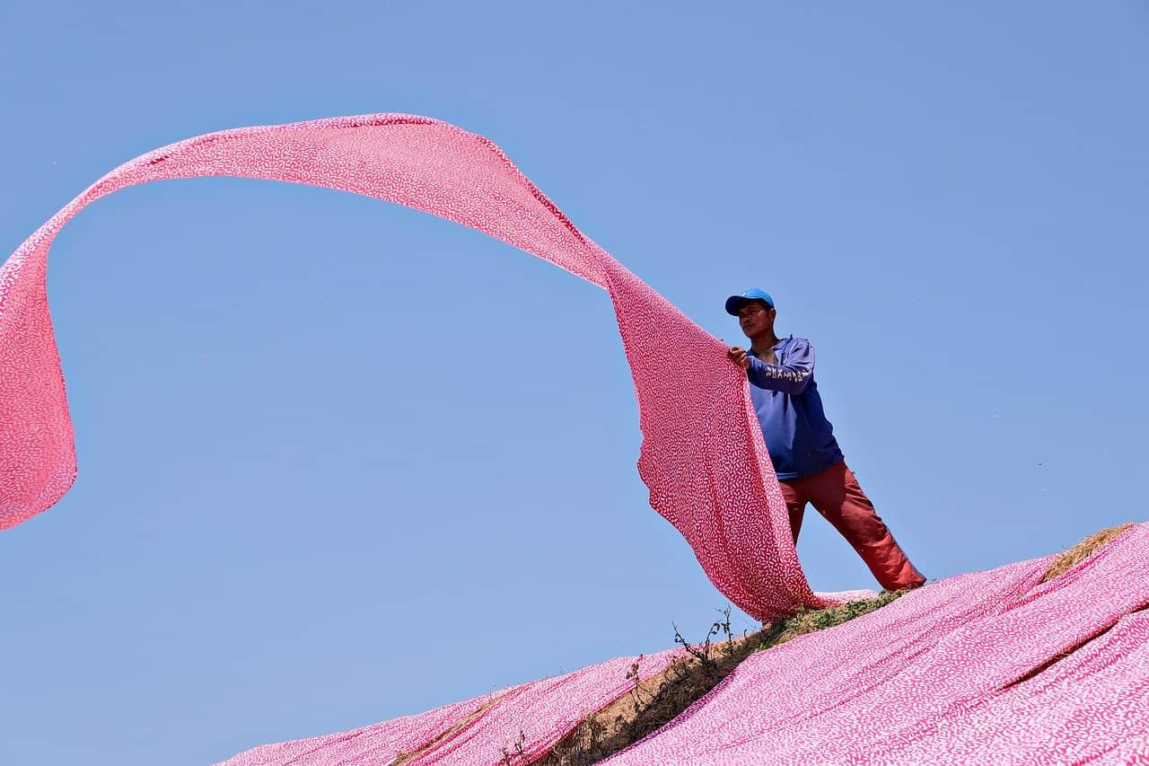pink 8253910 1280