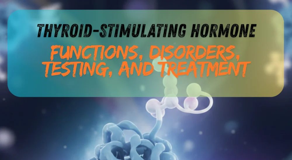 Thyroid-Stimulating Hormone (TSH)