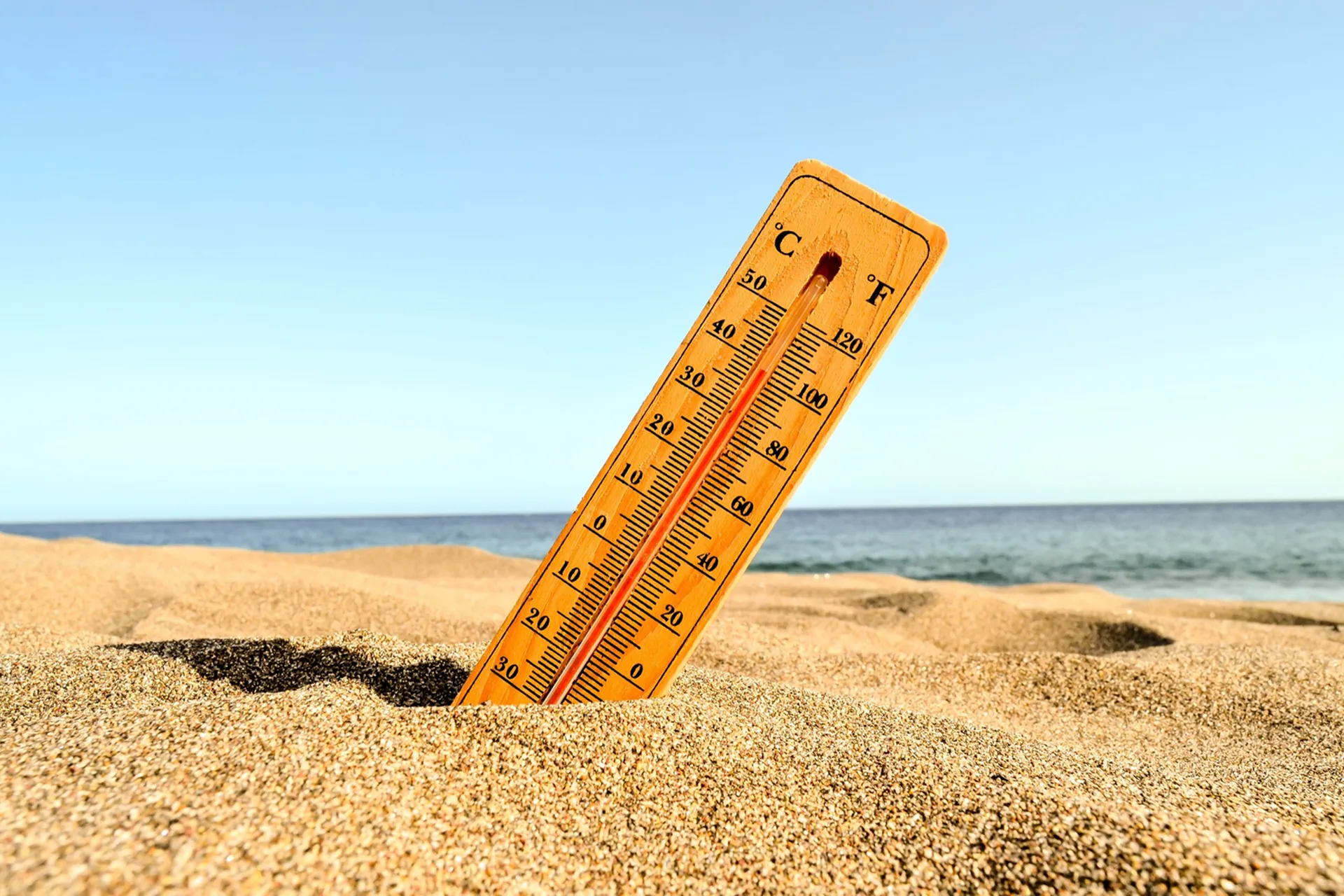 Record temperatures in Europe. Is adaptation to climate change still possible? 1 press2 blog pic17